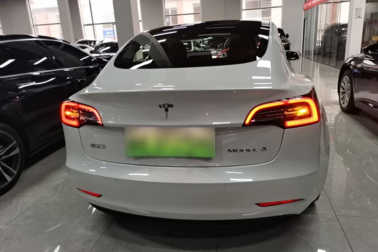 Used Tesla Model 3 2020 Standard Range Rear-Wheel Drive Upgraded Version Rear