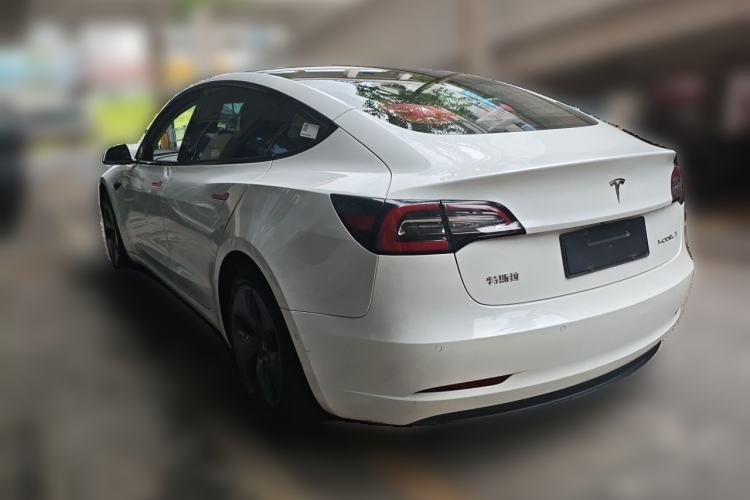 Used Tesla Model 3 2020 Standard Range Rear-Wheel Drive Upgraded Version Rear Left 45 Deg