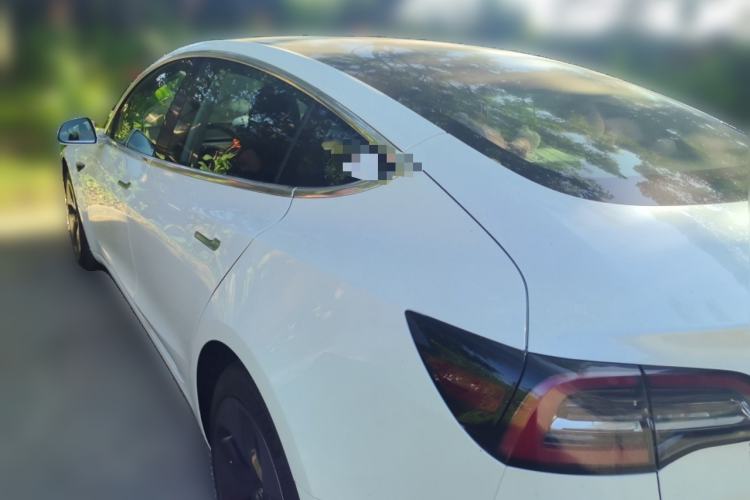Used Tesla Model 3 2020 Revised Version Standard Range Rear-Wheel Drive – Upgraded Edition Rear Left 45 Deg