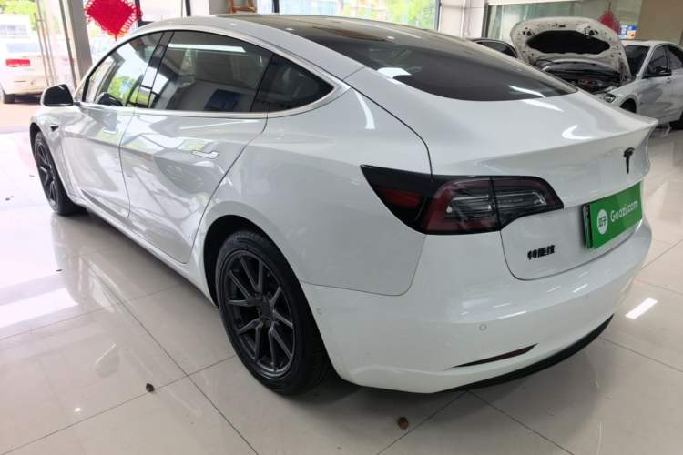 Used Tesla Model 3 2020 Standard Range Rear-Wheel Drive Upgraded Version Rear Left 45 Deg