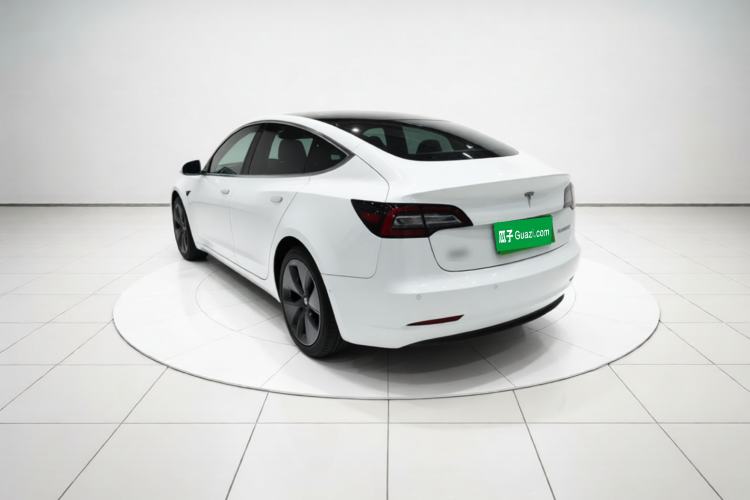 Used Tesla Model 3 2020 Standard Range Rear-Wheel Drive Upgraded Version Rear Left 45 Deg