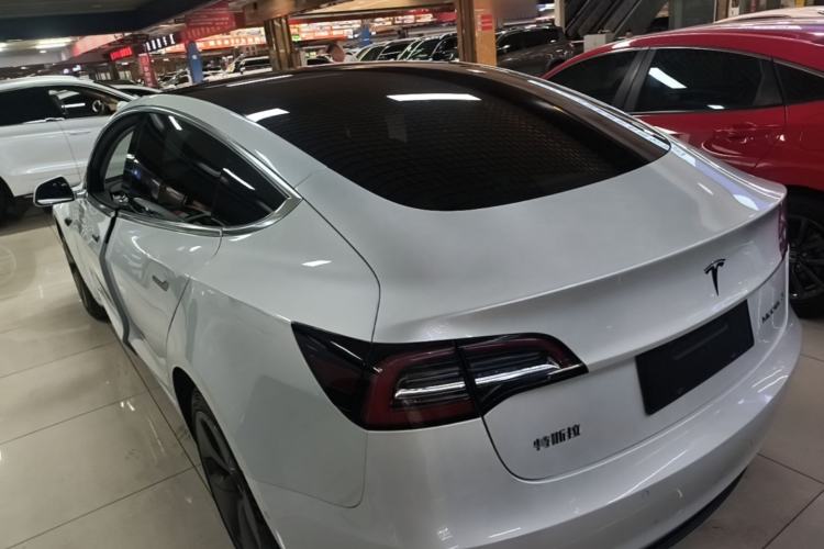Used Tesla Model 3 2020 Standard Range Rear-Wheel Drive Upgraded Version Rear Left 45 Deg
