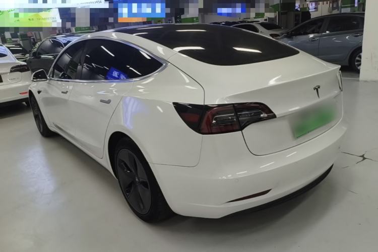 Used Tesla Model 3 2020 Standard Range Rear-Wheel Drive Upgraded Version Rear Left 45 Deg