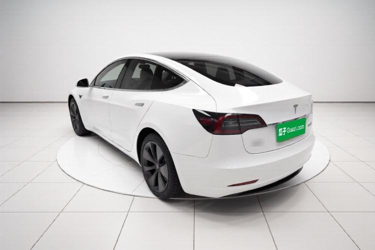 Used Tesla Model 3 2020 Standard Range Rear-Wheel Drive Upgraded Version Rear Left 45 Deg