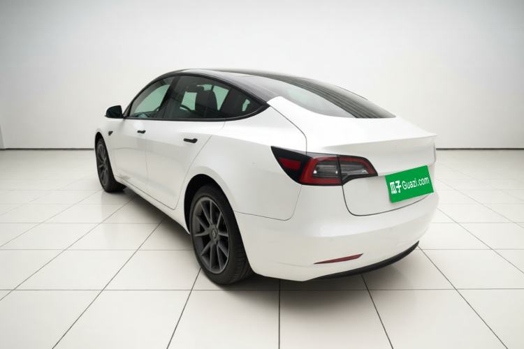 Used Tesla Model 3 2020 Standard Range Rear-Wheel Drive Upgraded Version Rear Left 45 Deg