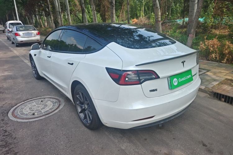 Used Tesla Model 3 2020 Standard Range Rear-Wheel Drive Upgraded Version Rear Left 45 Deg