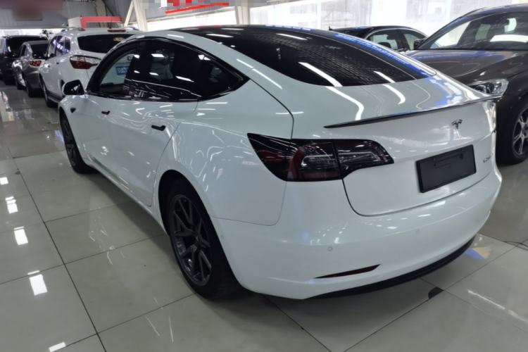 Used Tesla Model 3 2020 Standard Range Rear-Wheel Drive Upgraded Version Rear Left 45 Deg