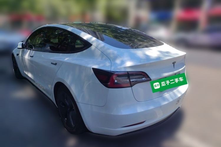 Used Tesla Model 3 2020 Standard Range Rear-Wheel Drive Upgraded Version Rear Left 45 Deg