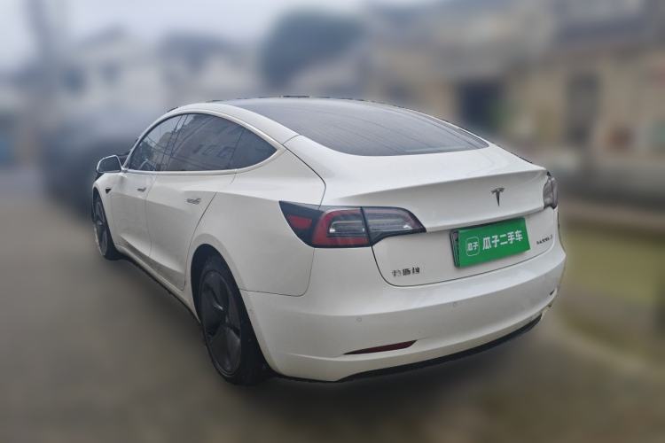 Used Tesla Model 3 2020 Standard Range Rear-Wheel Drive Upgraded Version Rear Left 45 Deg