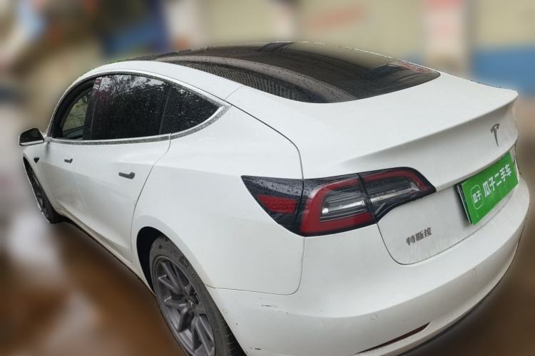 Used Tesla Model 3 2020 Standard Range Rear-Wheel Drive Upgraded Version Rear Left 45 Deg