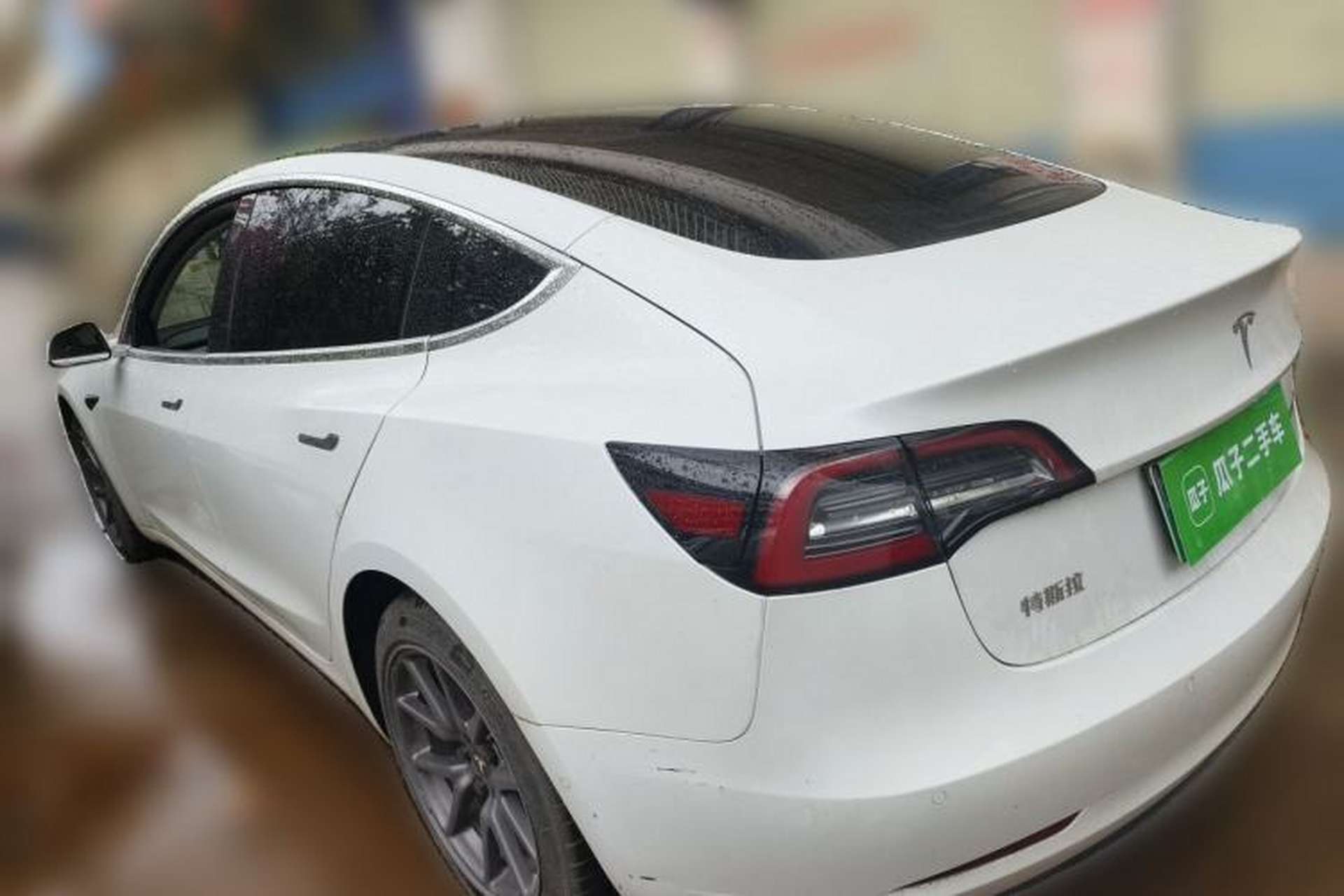 Used Tesla Model 3 2020 Standard Range Rear-Wheel Drive Upgraded Version Rear Left 45 Deg