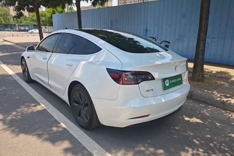Used Tesla Model 3 2020 Standard Range Rear-Wheel Drive Upgraded Version Rear Left 45 Deg