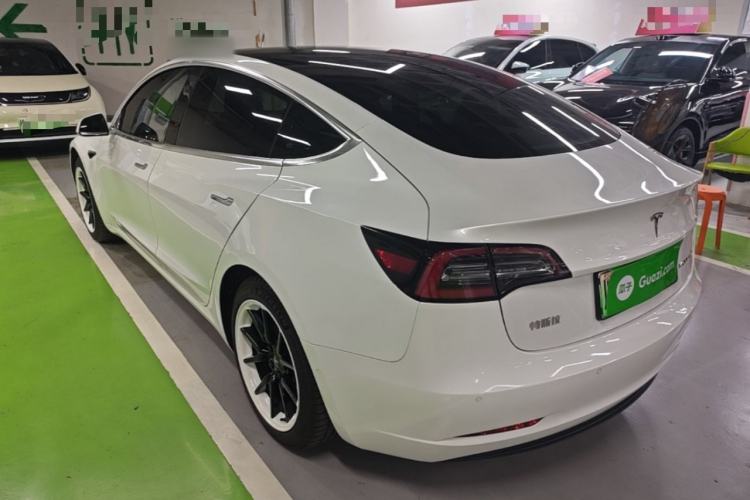 Used Tesla Model 3 2020 Standard Range Rear-Wheel Drive Upgraded Version Rear Left 45 Deg