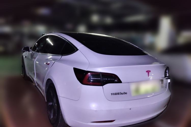Used Tesla Model 3 2020 Standard Range Rear-Wheel Drive Upgraded Version Rear Left 45 Deg