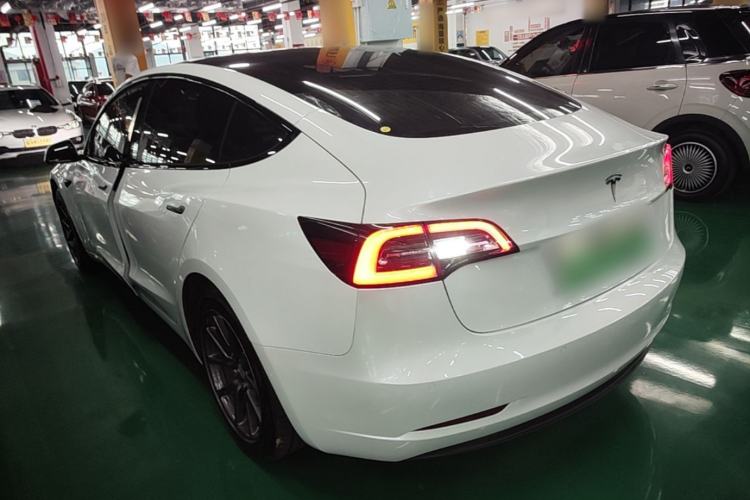 Used Tesla Model 3 2020 Standard Range Rear-Wheel Drive Upgraded Version Rear Left 45 Deg