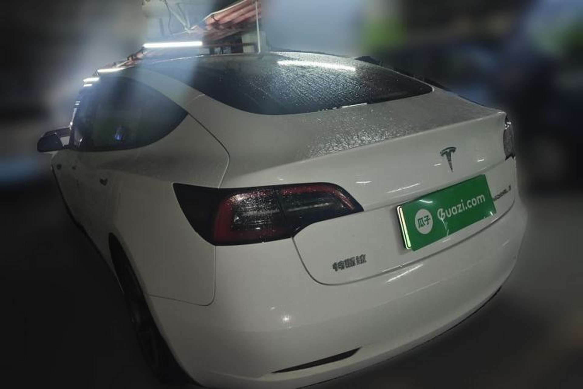 Used Tesla Model 3 2020 Revised Version Standard Range Rear-Wheel Drive – Upgraded Edition Rear Left 45 Deg