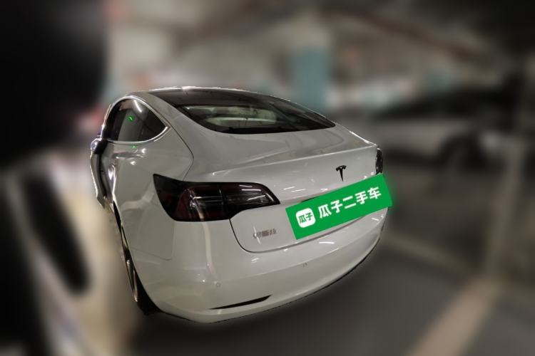 Used Tesla Model 3 2020 Standard Range Rear-Wheel Drive Upgraded Version Rear Left 45 Deg