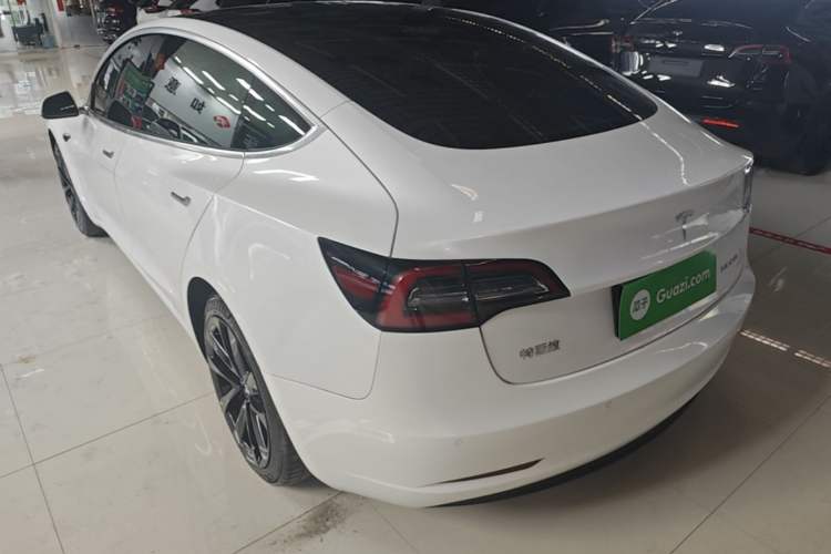 Used Tesla Model 3 2020 Standard Range Rear-Wheel Drive Upgraded Version Rear Left 45 Deg