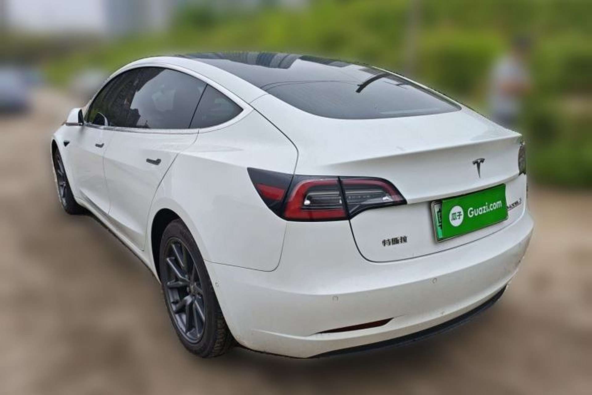 Used Tesla Model 3 2020 Revised Version Standard Range Rear-Wheel Drive – Upgraded Edition Rear Left 45 Deg