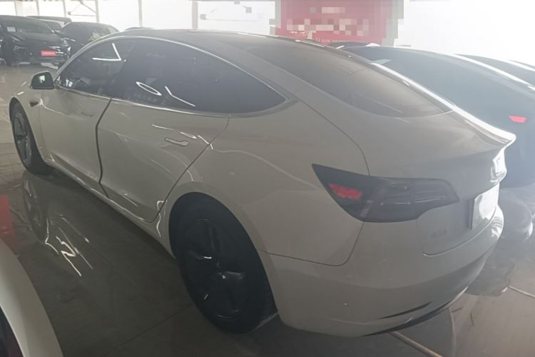 Used Tesla Model 3 2020 Standard Range Rear-Wheel Drive Upgraded Version Rear Left 45 Deg