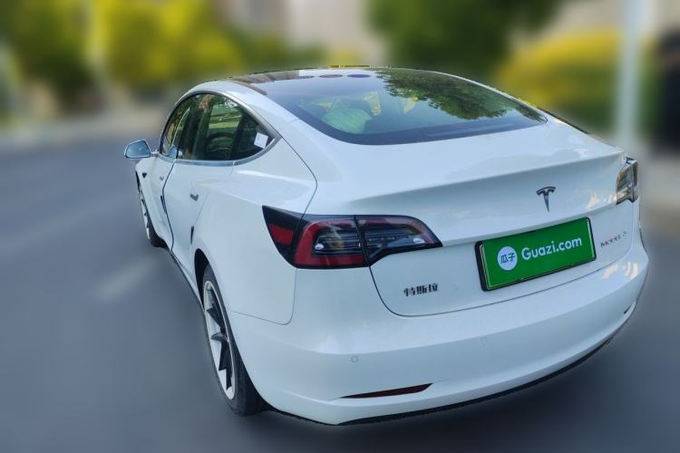 Used Tesla Model 3 2020 Standard Range Rear-Wheel Drive Upgraded Version Rear Left 45 Deg