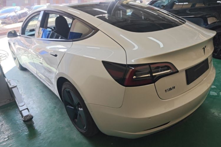 Used Tesla Model 3 2020 Standard Range Rear-Wheel Drive Upgraded Version Rear Left 45 Deg