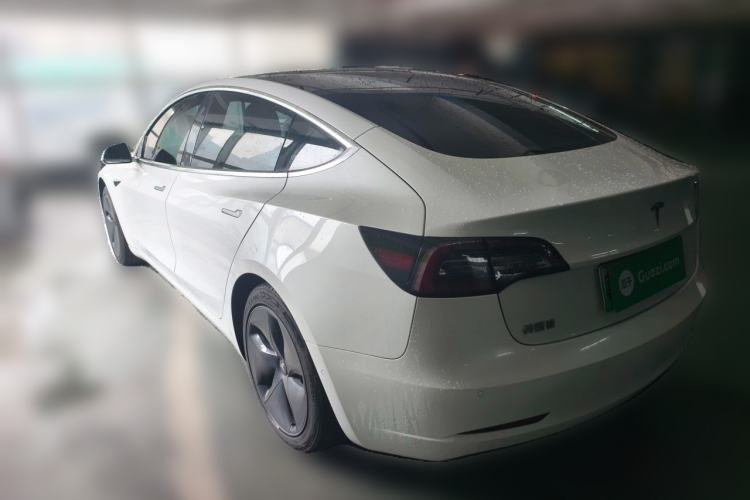 Used Tesla Model 3 2020 Standard Range Rear-Wheel Drive Upgraded Version Rear Left 45 Deg