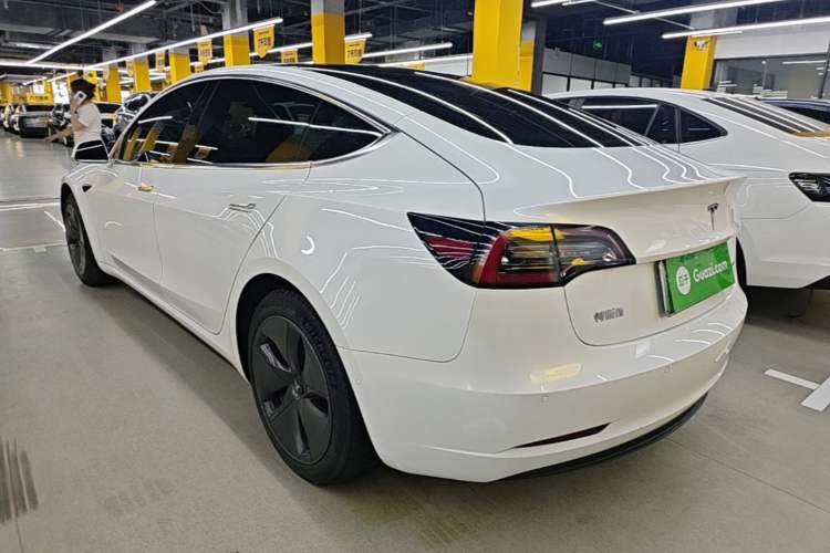 Used Tesla Model 3 2020 Standard Range Rear-Wheel Drive Upgraded Version Rear Left 45 Deg