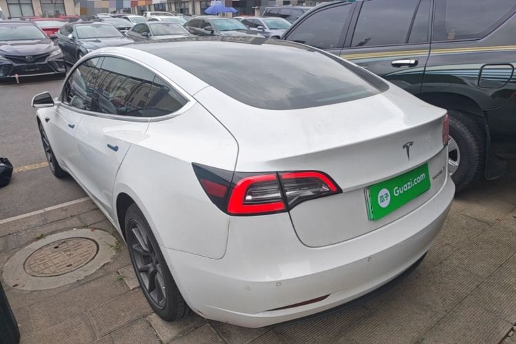 Used Tesla Model 3 2020 Standard Range Rear-Wheel Drive Upgraded Version Rear Left 45 Deg