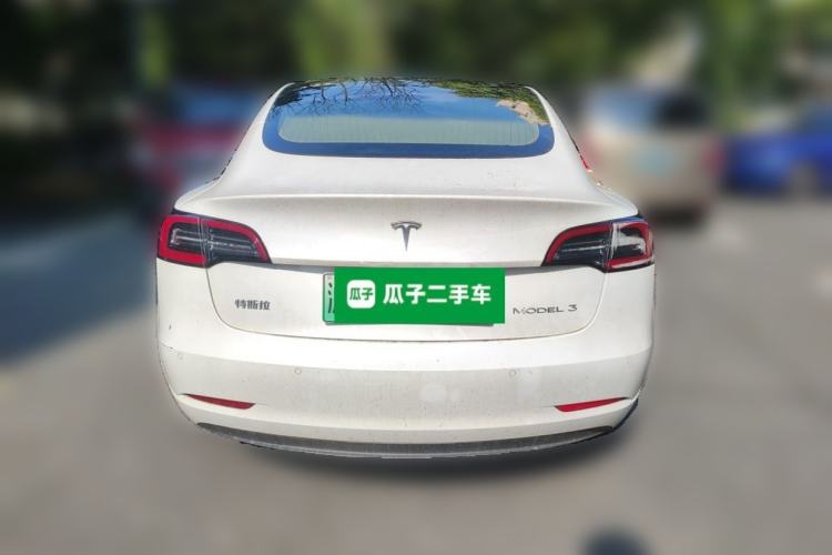 Used Tesla Model 3 2020 Standard Range Rear-Wheel Drive Upgraded Version Rear
