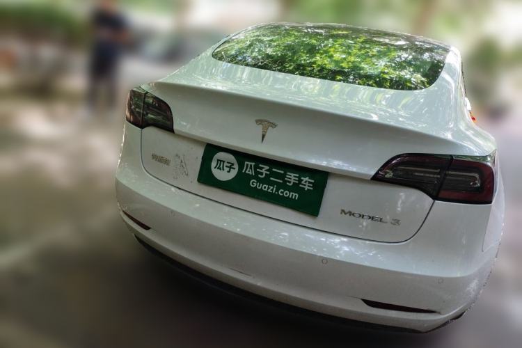 Used Tesla Model 3 2020 Standard Range Rear-Wheel Drive Upgraded Version Rear