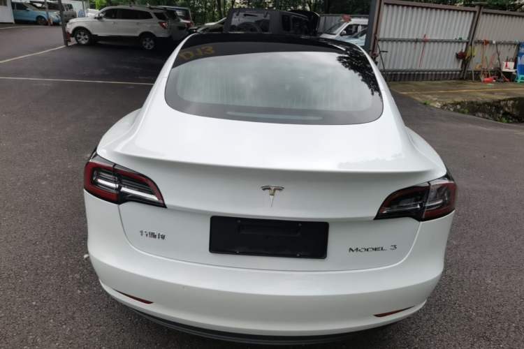 Used Tesla Model 3 2020 Standard Range Rear-Wheel Drive Upgraded Version Rear
