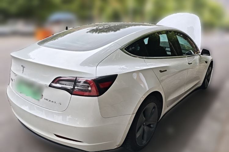 Used Tesla Model 3 2020 Standard Range Rear-Wheel Drive Upgraded Version Rear Right 45 Deg