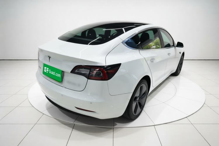 Used Tesla Model 3 2020 Standard Range Rear-Wheel Drive Upgraded Version Rear Right 45 Deg