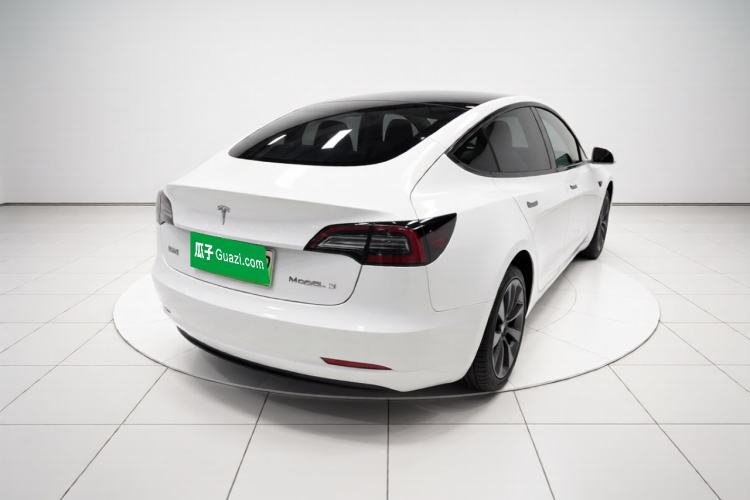 Used Tesla Model 3 2020 Standard Range Rear-Wheel Drive Upgraded Version Rear Right 45 Deg