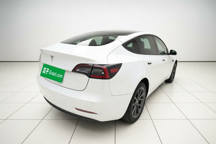 Used Tesla Model 3 2020 Standard Range Rear-Wheel Drive Upgraded Version Rear Right 45 Deg