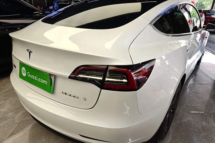 Used Tesla Model 3 2020 Standard Range Rear-Wheel Drive Upgraded Version Rear Right 45 Deg