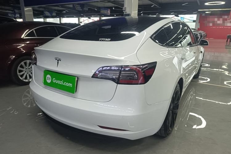 Used Tesla Model 3 2020 Standard Range Rear-Wheel Drive Upgraded Version Rear Right 45 Deg