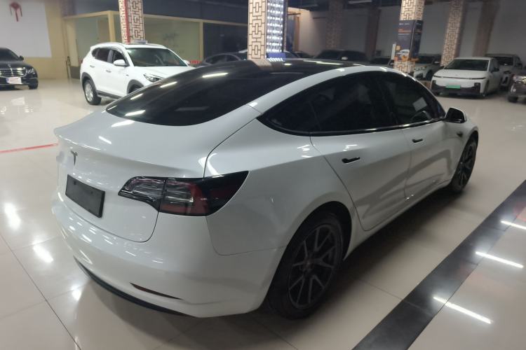 Used Tesla Model 3 2020 Standard Range Rear-Wheel Drive Upgraded Version Rear Right 45 Deg