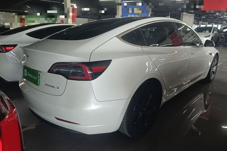 Used Tesla Model 3 2020 Standard Range Rear-Wheel Drive Upgraded Version Rear Right 45 Deg