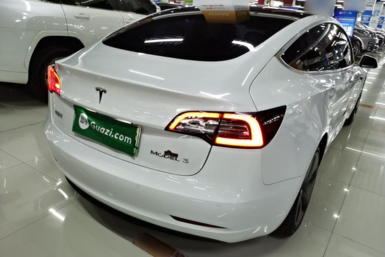 Used Tesla Model 3 2020 Standard Range Rear-Wheel Drive Upgraded Version Rear Right 45 Deg