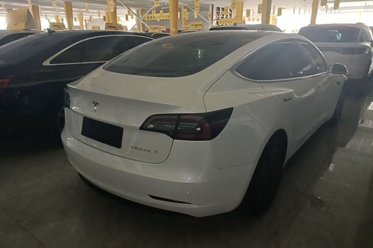 Used Tesla Model 3 2020 Standard Range Rear-Wheel Drive Upgraded Version Rear Right 45 Deg