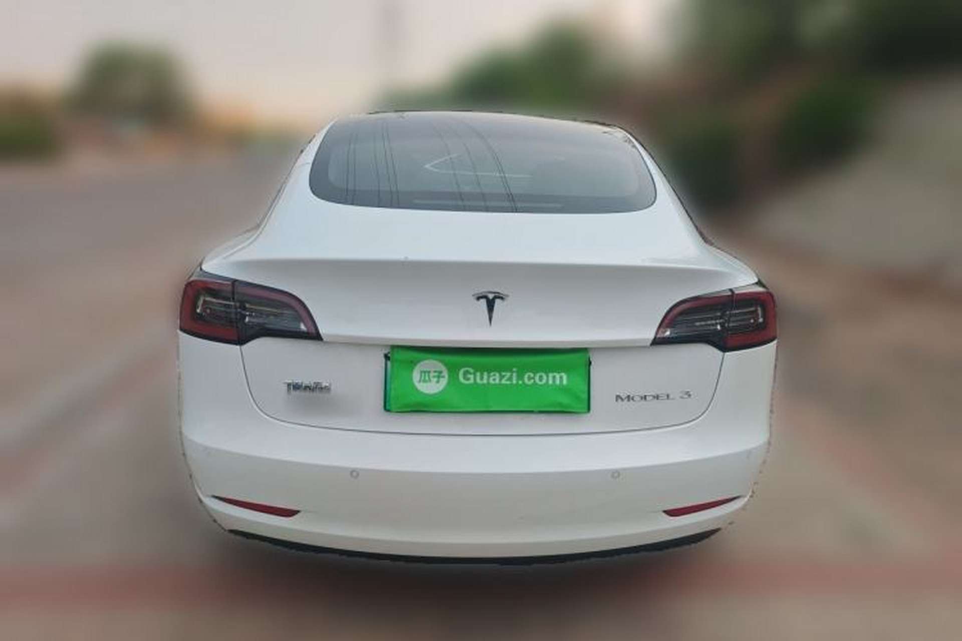 Used Tesla Model 3 2020 Standard Range Rear-Wheel Drive Upgraded Version Rear