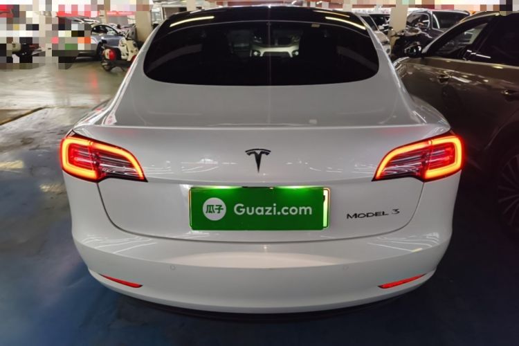 Used Tesla Model 3 2020 Standard Range Rear-Wheel Drive Upgraded Version Rear
