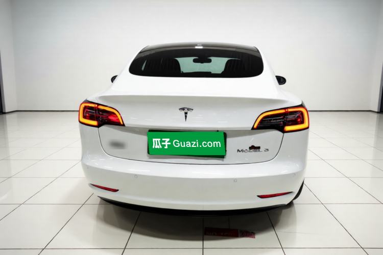 Used Tesla Model 3 2020 Standard Range Rear-Wheel Drive Upgraded Version Rear