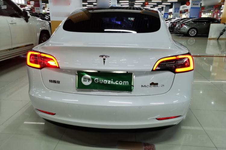 Used Tesla Model 3 2020 Standard Range Rear-Wheel Drive Upgraded Version Rear
