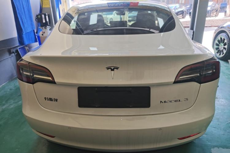 Used Tesla Model 3 2020 Standard Range Rear-Wheel Drive Upgraded Version Rear