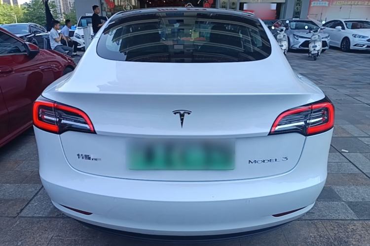 Used Tesla Model 3 2020 Standard Range Rear-Wheel Drive Upgraded Version Rear