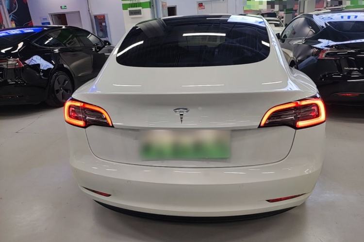 Used Tesla Model 3 2020 Standard Range Rear-Wheel Drive Upgraded Version Rear