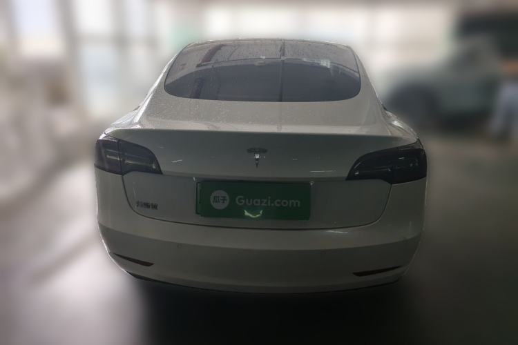Used Tesla Model 3 2020 Standard Range Rear-Wheel Drive Upgraded Version Rear